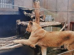 -西安秦岭野生动物园