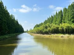 -黄海国家森林公园