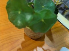 -莲餐厅·湖北菜·潜江小龙虾店(愚园路店)