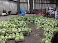 -江杨农产品批发市场