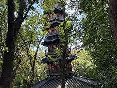 -上海佘山国家森林公园西佘山园