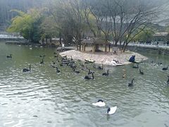 -黔灵山公园