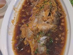 -北国之春国宴(乌兰察布店)