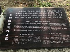 -东湖落雁景区