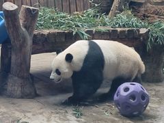 -石家庄市动物园