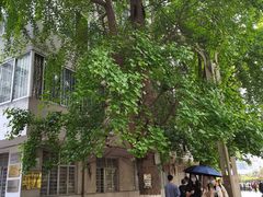 -四川大学(华西校区)