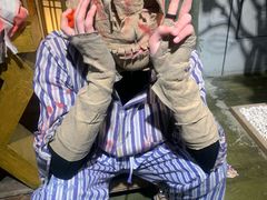 -长藤鬼校(龙翔店)