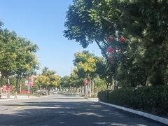 -龙口南山旅游景区