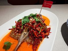 -杨氏青龙虾·羊蝎子(珠江路店)