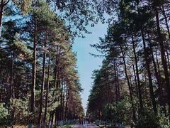 -黑龙江省森林植物园