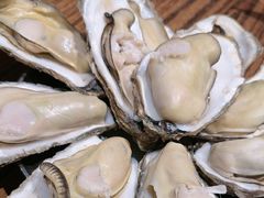 -蚝堡海鲜·威海菜·海肠捞饭·烧烤·亚洲吃蚝公司(幸福门店)