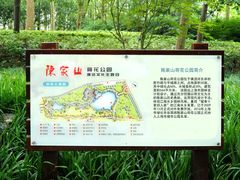 -陈家山荷花公园