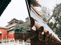 -故宫博物院(故宫)