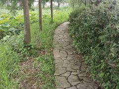 -陶辛水韵