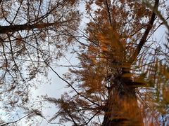 -元大都城垣遗址公园