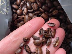 -Peet's Coffee皮爷咖啡(新天地黑标店)
