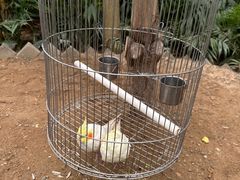 -南宫五洲植物乐园