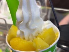 -Salud撒露欧洲冻酸奶(蓝色港湾店)