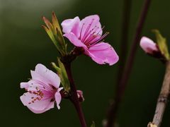 -静安雕塑公园