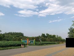 -永定河休闲森林公园