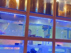 -迈姨·潮州菜(麓湖公园店)