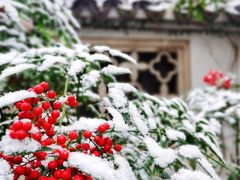 -惠山古镇·寄畅园