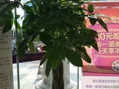 -中国光大银行(三亚分行营业部)