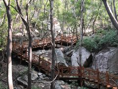 -大岭沟猕猴桃谷风景区
