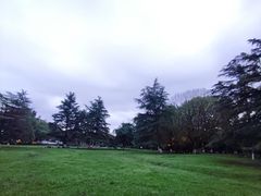 -花溪公园