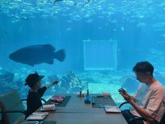 -海棠湾洲际-涛·海底餐厅·美人鱼·自助餐·海底隧道