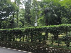 -武汉大学-樱园