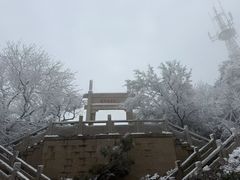 -紫金山山顶公园