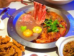 -古乐牛香•鲜牛肉牛杂火锅(系马桩总店)