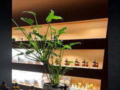 -泰·菩提树下[泰式按摩x精油SPAx肩颈头疗](新景店)
