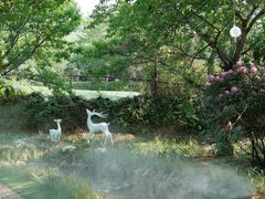 -名花谷生态庄园