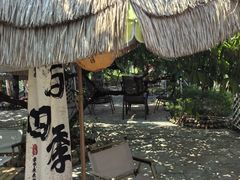-桃源山庄·水蜜桃采摘·柴火鸡·烧烤团建(龙泉山店)