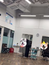 -青漾 young hair studio