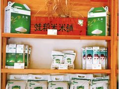 蛙稻米米铺-练塘古镇