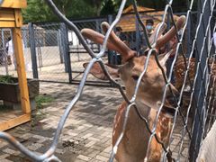 -长白岛森林公园