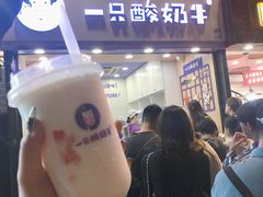 门面-一只酸奶牛(八一路店)
