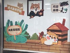 -柴犬高等学院·狗咖·柴犬售卖·宠物训练