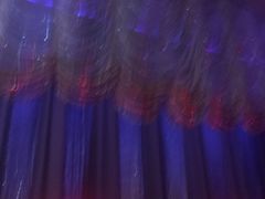 -金东尼人妖秀