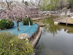 -宣武艺园