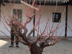 -无锡梅园公园