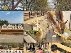 -盈香心动乐园