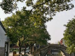 -鲁镇