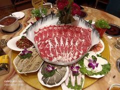 -清真军邺·金富苑肥牛(石坡街旗舰店)