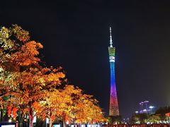 -广州富力丽思卡尔顿酒店