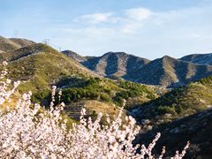 -妙峰山风景名胜区