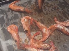 -星伦多 自助料理(圆融店)